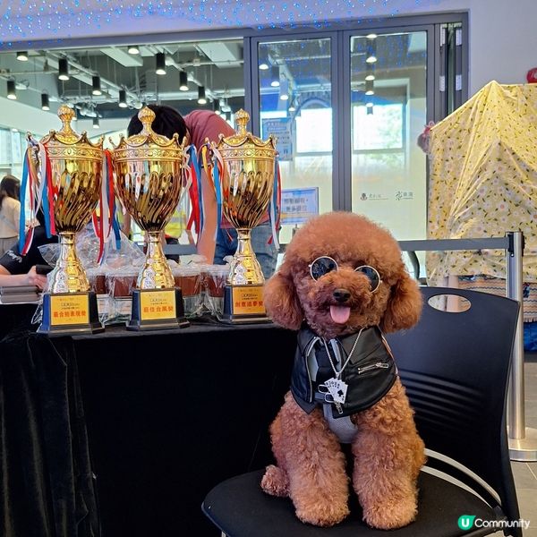 東蒲萌愛嘉年華 3日人寵盛事！