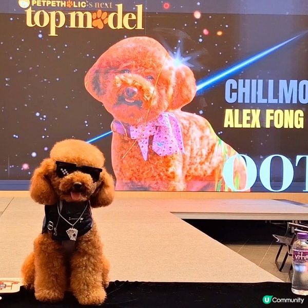 東蒲萌愛嘉年華 3日人寵盛事！