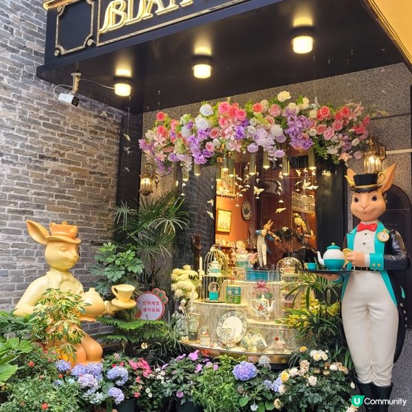 深圳南山南頭古城探店 🐰  愛麗絲夢遊仙境  🌸