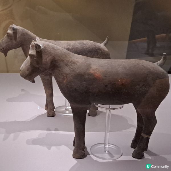 陝西秦漢文明展🏛️  香港首展！