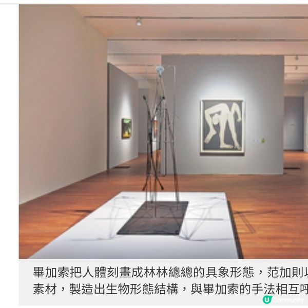 M+畢加索展覽 雙螺旋結構的全貌與對話