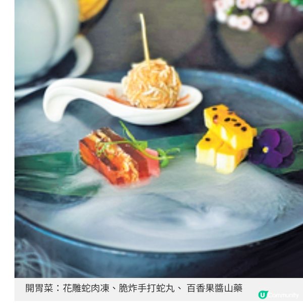 澐・NUVA╳蛇王芬 春夏養陽特色蛇饌