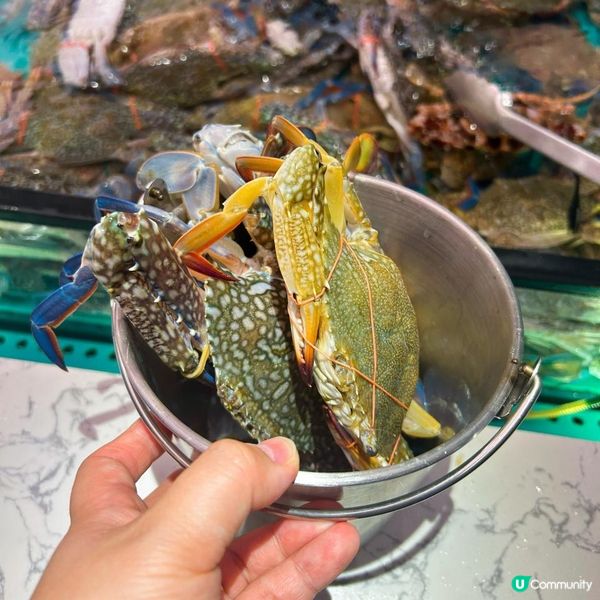 絕對值得去食既打邊爐