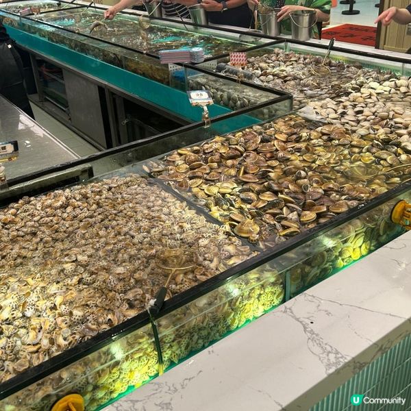 絕對值得去食既打邊爐