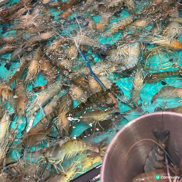 絕對值得去食既打邊爐