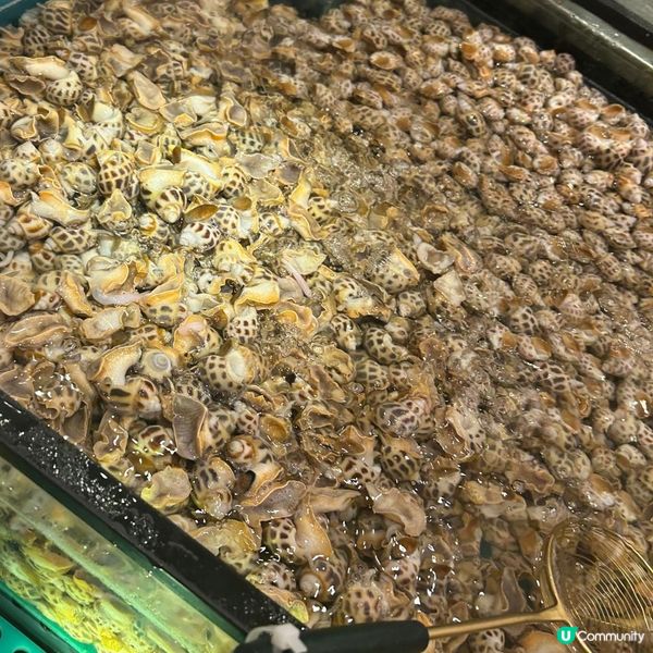 絕對值得去食既打邊爐