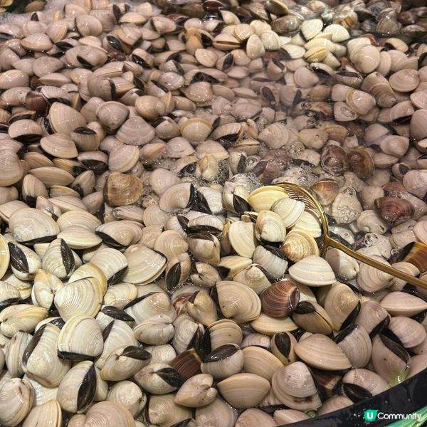 絕對值得去食既打邊爐