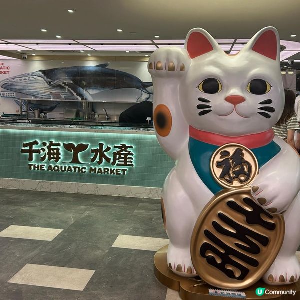 絕對值得去食既打邊爐