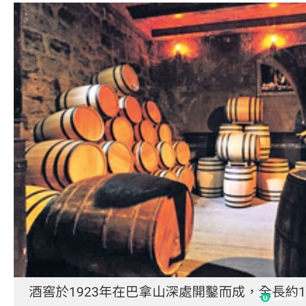 越南峴港巴拿山太陽世界集品酒賞花機動遊戲 超乎想像咁好玩