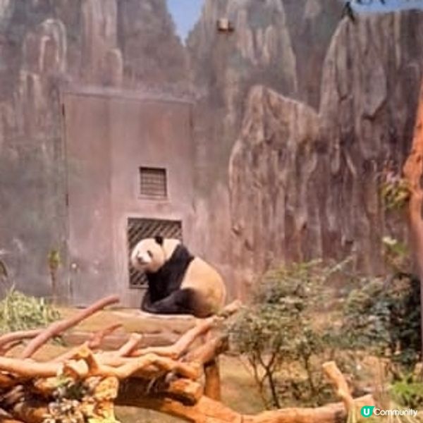 #UCreator #打卡美食 #好去處 #全新景點 #ch...