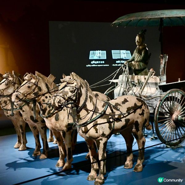 國家一級文物兵馬俑抵港 歷史博物館展逾百秦漢文物