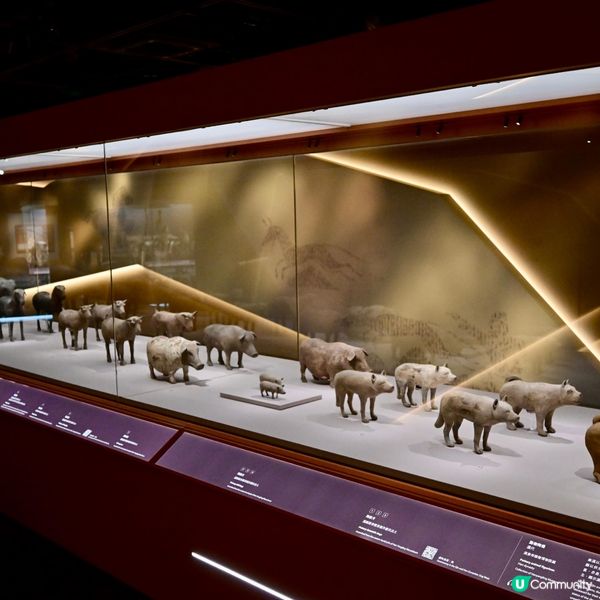 國家一級文物兵馬俑抵港 歷史博物館展逾百秦漢文物