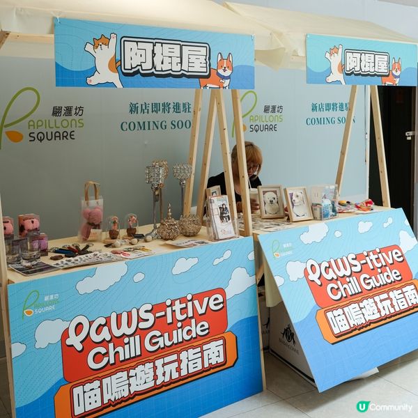 將軍澳翩滙坊｜毛孩放電市集🐾 喵嗚遊玩指南🐱