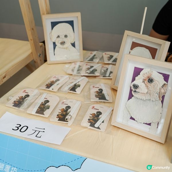 將軍澳翩滙坊｜毛孩放電市集🐾 喵嗚遊玩指南🐱