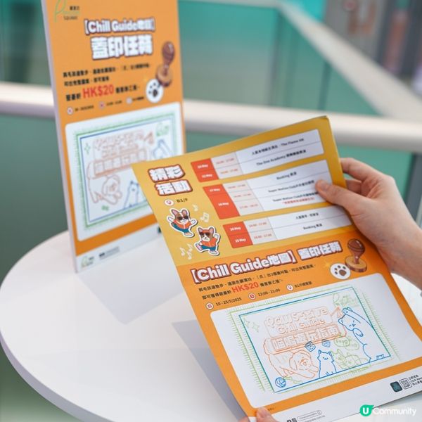 將軍澳翩滙坊｜毛孩放電市集🐾 喵嗚遊玩指南🐱