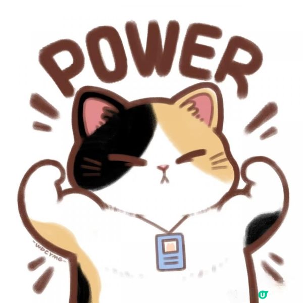 我發現高能量的人：從不關注任何人