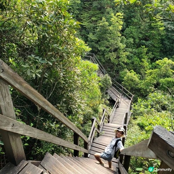 非凡體驗🥳昂坪棧道🤗