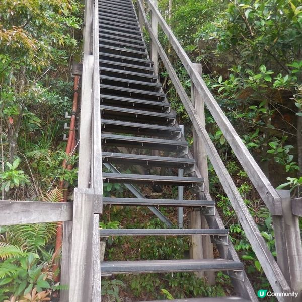 非凡體驗🥳昂坪棧道🤗