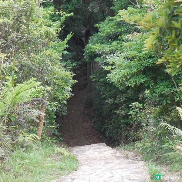 非凡體驗🥳昂坪棧道🤗