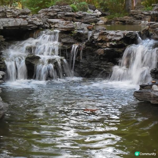 嶺南之風眾生相🤗