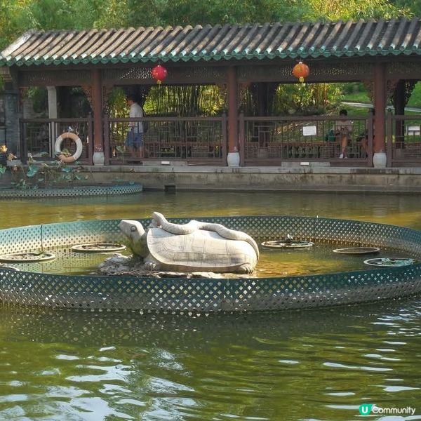 嶺南之風眾生相🤗