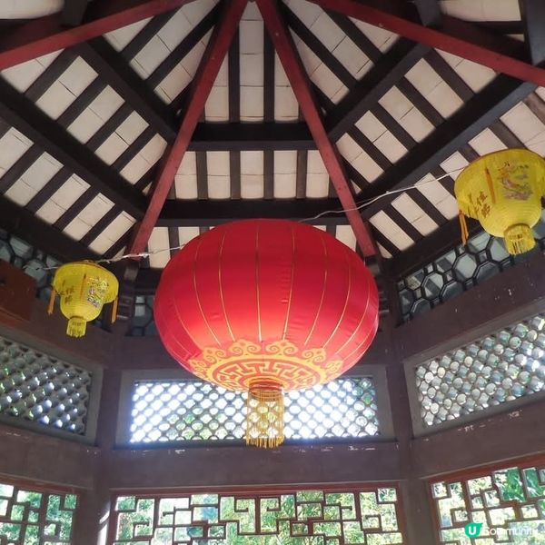 嶺南之風眾生相🤗