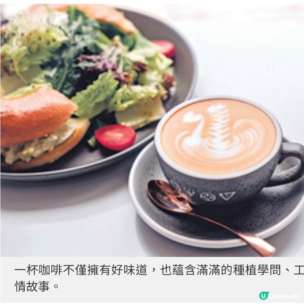 香港唯一榮登全球百大咖啡好店Espresso Alchemy