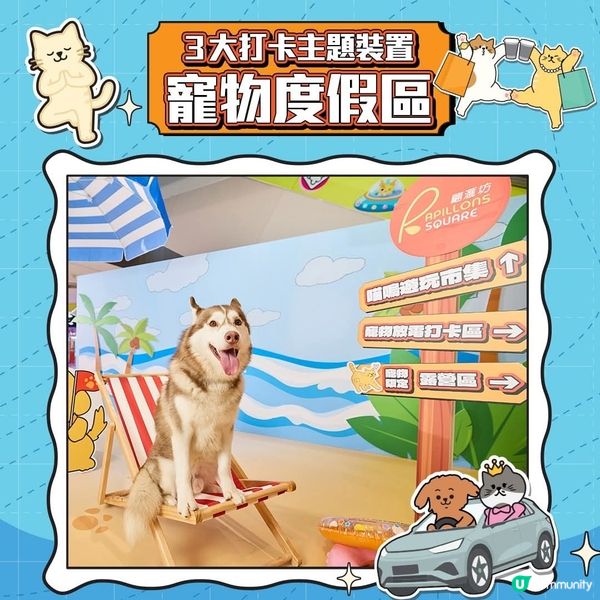 將軍澳寵物友善熱點翩滙坊「喵嗚遊玩市集」遊玩消費賞