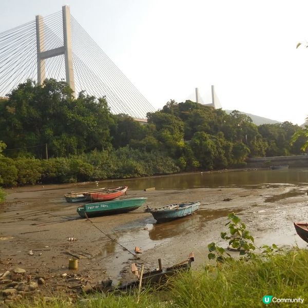 馬灣的另一種美麗🤩