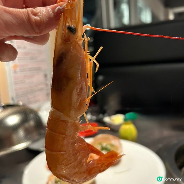 銀座八芳新宿店任食任飲放題！🍣🍻