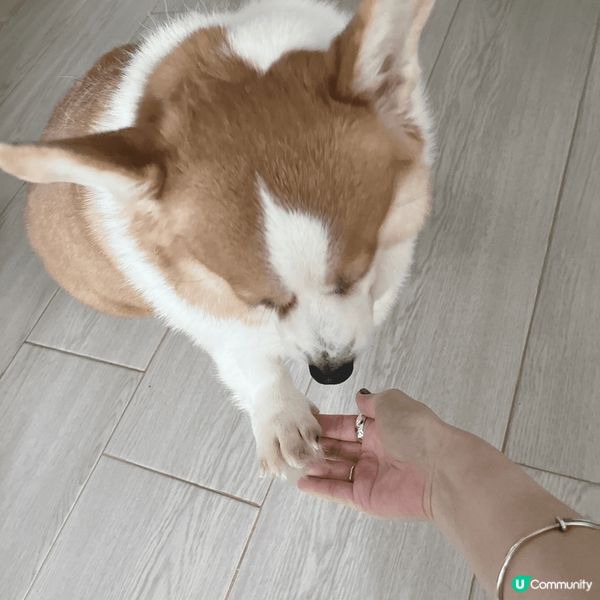 我媽媽成日都好鍾意影我最醜樣嘅時候，佢話我咁樣好得意喎😑#主...