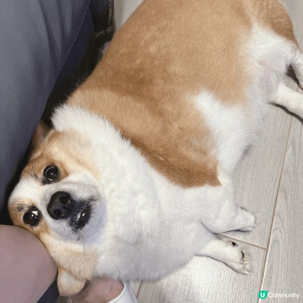 我媽媽成日都好鍾意影我最醜樣嘅時候，佢話我咁樣好得意喎😑#主...