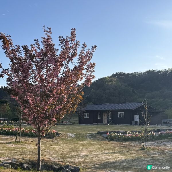 🇯🇵鳥取。大山住宿。北歐風小木屋～OLIF。