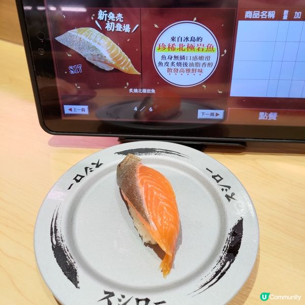 🍣壽司郎5月必食赤醋飯祭🔥超鮮嫩炙燒北極岩魚壽司💜