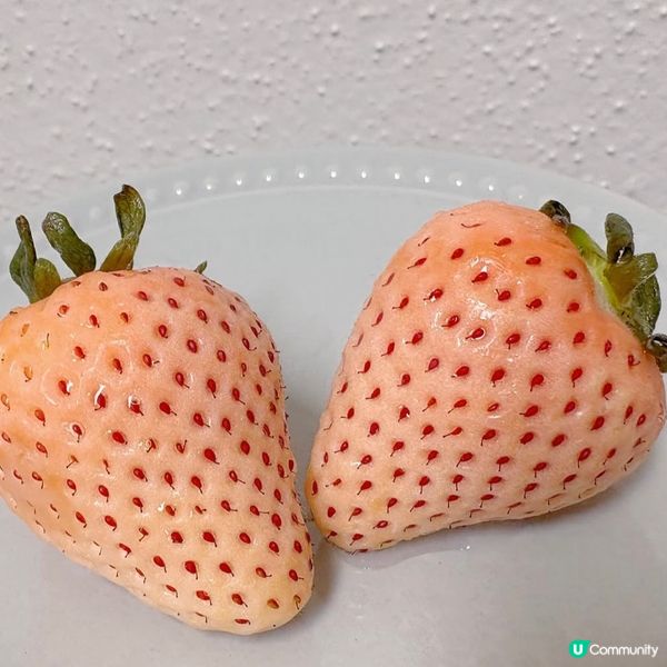 🍓🍓少女心爆發的淡雪🥰