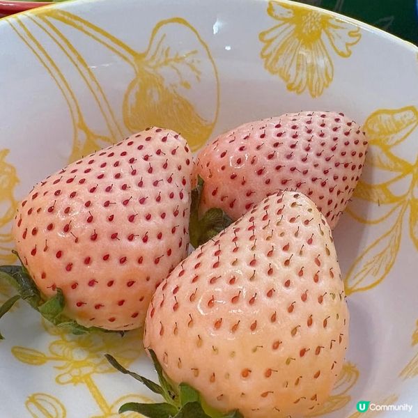 🍓🍓少女心爆發的淡雪🥰