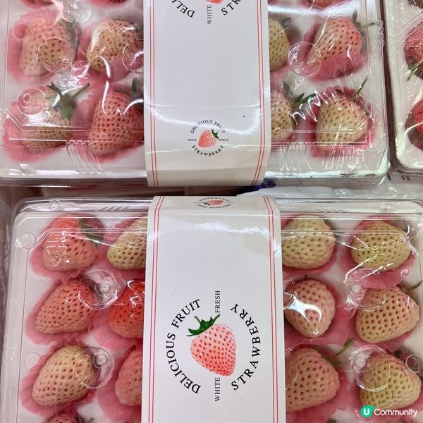 🍓🍓少女心爆發的淡雪🥰