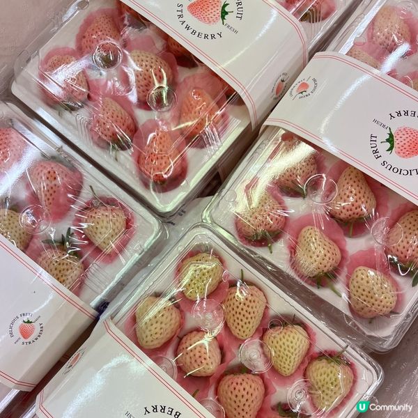 🍓🍓少女心爆發的淡雪🥰