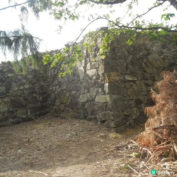 東龍島1日遊🏃‍♀️‍➡️