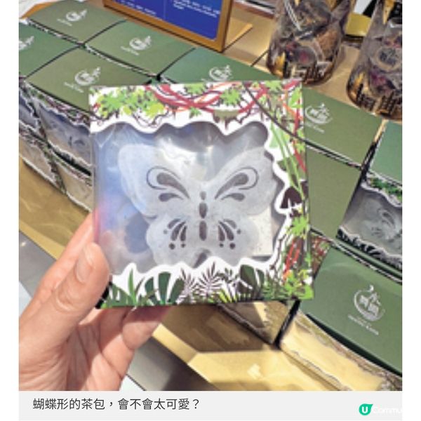 新濠天地《水舞間》重磅回歸 300位精英團隊衝擊感官