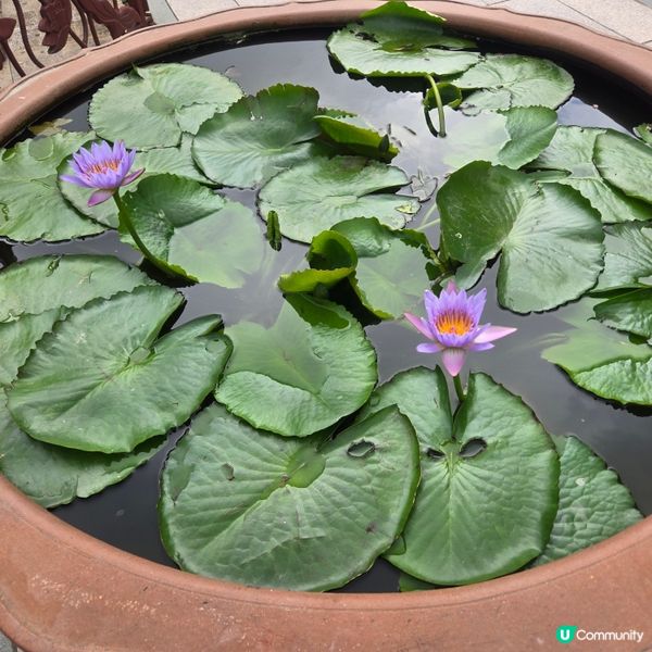 ##estherbunny##踢走肌肉酸痛##chill嘆酒...