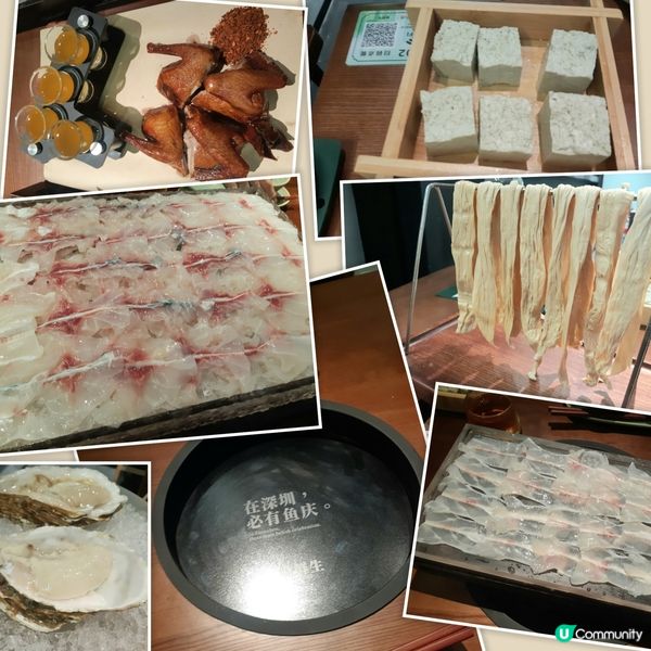 脆鮮生🐟火鍋，食后感