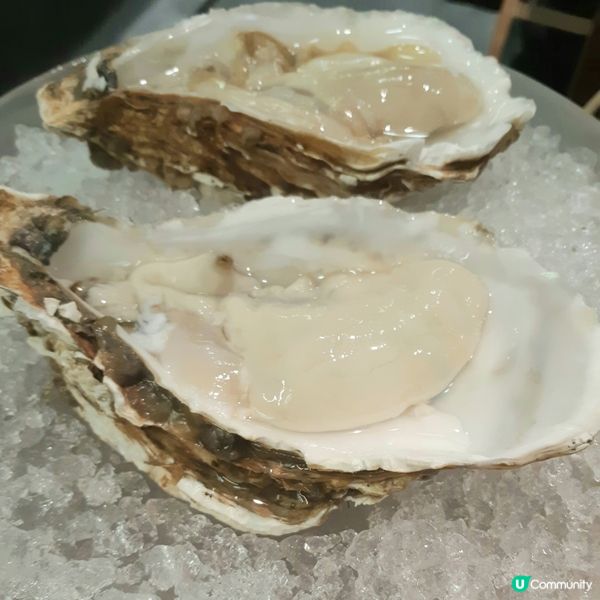 脆鮮生🐟火鍋，食后感