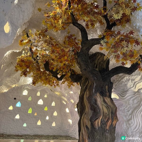 深灣金玉池水療