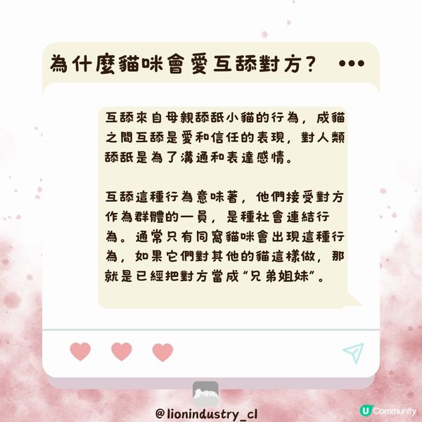 #光の喵砂#Photo-CAT-a-LITTER#貓砂#豆腐...