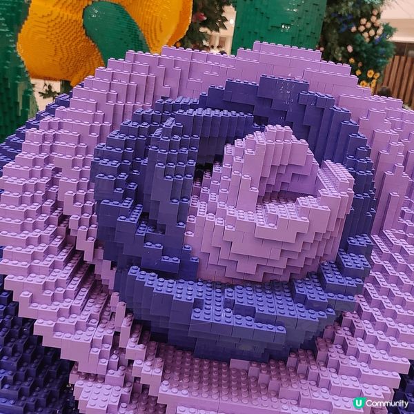 於金鐘Pacific Place太古廣場，展出全港首個Leg...