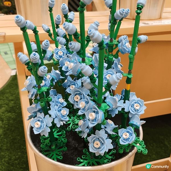 於金鐘Pacific Place太古廣場，展出全港首個Leg...