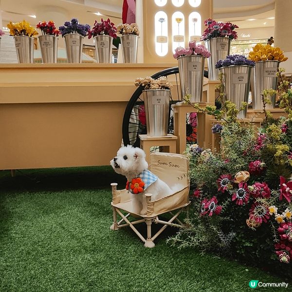 於金鐘Pacific Place太古廣場，展出全港首個Leg...