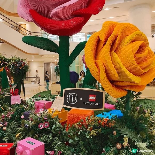 於金鐘Pacific Place太古廣場，展出全港首個Leg...