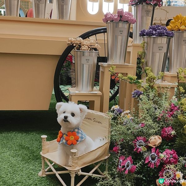 於金鐘Pacific Place太古廣場，展出全港首個Leg...